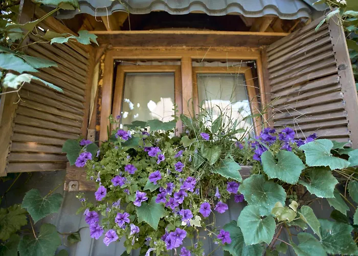 Baba Yagas House