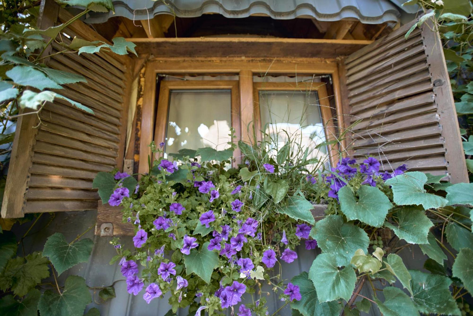 Apartment Baba Yagas House Rakhiv